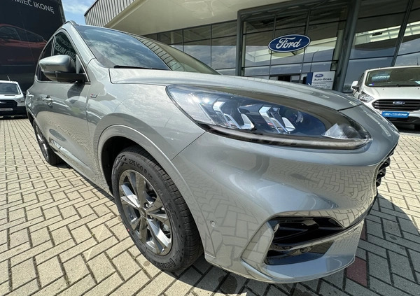 Ford Kuga cena 129900 przebieg: 1, rok produkcji 2022 z Braniewo małe 79